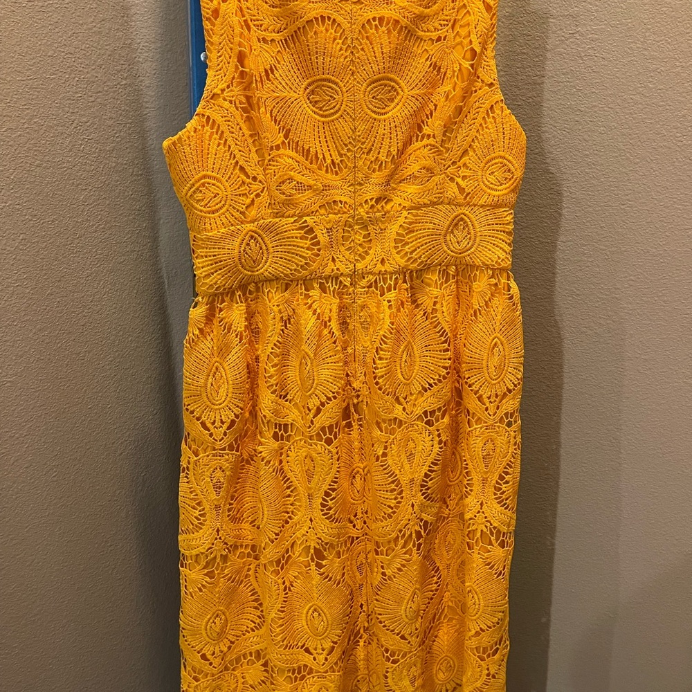 Lacy dress. Hits mid calf. Worn one time.
